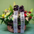 미드림치과 Daum카페