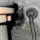 인제21 | 인제 21회차 + 아엔 로워암 후기