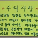 토르미