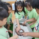 바다 유치원 이미지