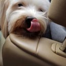 포근한동물병원 이미지