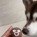 싼타세탁 이미지