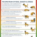 행복한 우리아이 동물병원 이미지