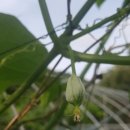 중부농장 이미지