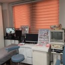 양이비인후과의원 이미지