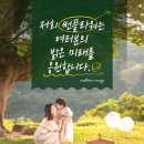시원에너지 태양광발전소 이미지