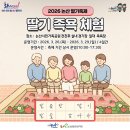 논산시시민운동장 | 2026년 제28회 논산딸기축제 일정 ·장소·프로그램·먹거리·가는법