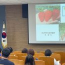 밀양9 이미지