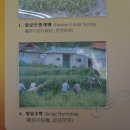 화문석마을 이미지