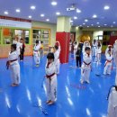 국가대표 한빛태권도 이미지