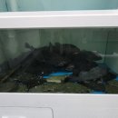 삼정회수산 이미지