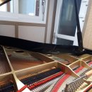 설레임 피아노 이미지