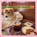어린이대공원역 | 건대 애견동반 카페 레스또커피 어린이대공원역 조용한 크리스마스 감성카페 내돈내산 후기