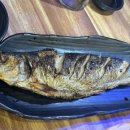 회꽃피는밤 이미지