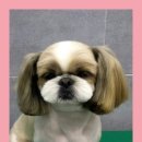 깍까독 이미지