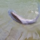 헤라낚시터 이미지