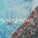 데이그래피 이미지