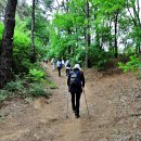 무봉산둘레길 이미지