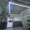 블루우드 이미지