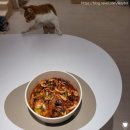 [레시피] 봄 제철 쭈꾸미 손질 백종원 쭈꾸미볶음 황금레시피