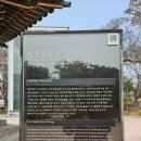 시민다방 찻집 | 서울 인사동 거리 &amp; 서울 종로 [부산회집] 맛집 후기