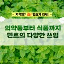 민트 - 중구 남대문시장4길 9 | 민트