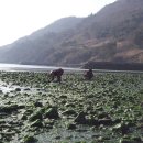 비렁길돌담민박 이미지