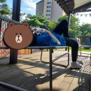 레포츠스넥음식 | 소노벨 비발디파크 D동 애견동반 2박3일 숙박 후기 - 둘째날, 셋째날