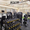 피티아지트