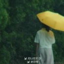 숲의 이야기를 들어볼래? 이미지