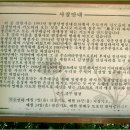 도봉산-다락능선에서 민초샘으로 올랐지만 말벌때문에 사패산은 포기 (2009.9.2) 재작성 이미지