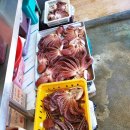 해변 낚시마트 이미지