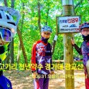 우담