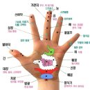 다섯손가락 Daum카페