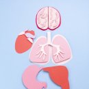 메디필즈의원 이미지