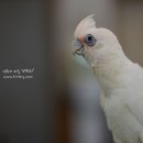 버드리농장 이미지