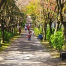 노루마당 이미지