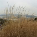 화서공원 이미지