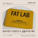성장템몸만들기연구소 | 종아리붓기 때문에 찾다가 발견한 지방연구소 셀룰라이트 패치 팻랩 순환패치 후기