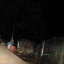 대활한의원 이미지