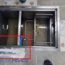 벌교여자고등학교 이미지