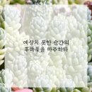 기적한의원 이미지