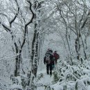 자연을닮은사람들 이미지