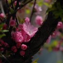 신양경로당 이미지