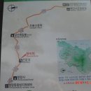 매화산 등산로(정상)