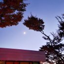 충북 | 힐링 아지트 같은 웨스트오브 가나안 카페, 숙박 후기(충북 괴산 호텔웨스트오브가나안 2편)