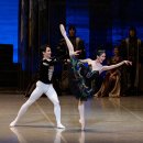 국립발레단 ’백조의 호수’ 이미지