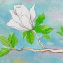 세탁선 이미지