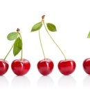 닥터파파동물병원 이미지