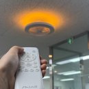 신일정비 | 거실 실링팬 로슬러와 비교 후 가성비 좋은 신일 실링팬 설치 후기